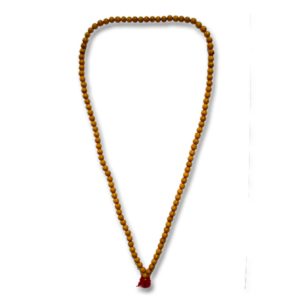 Tràng hạt gỗ bách xanh